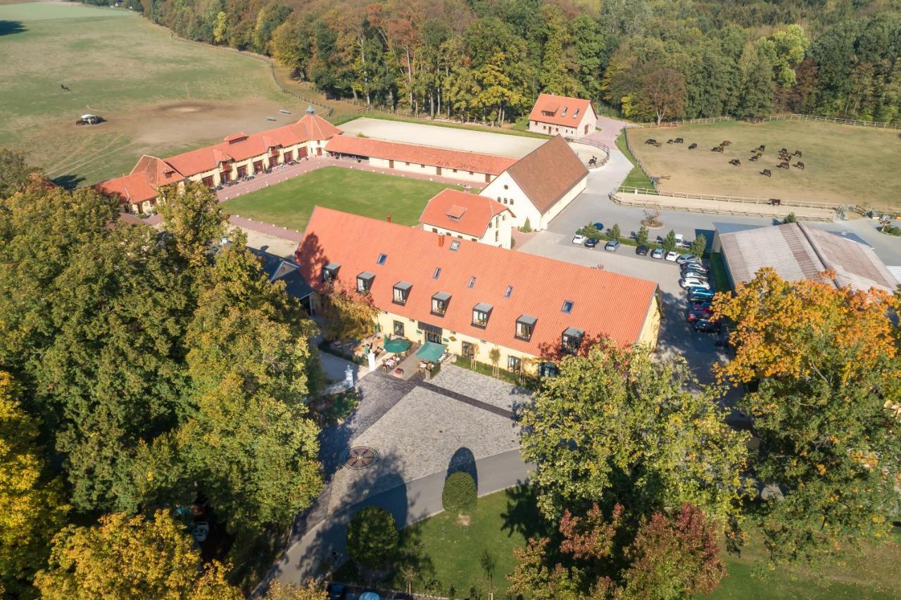 Hotel Rittergut Osthoff Георгсмариенхютте Экстерьер фото